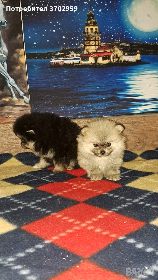 Момче и момиче, снимка 1