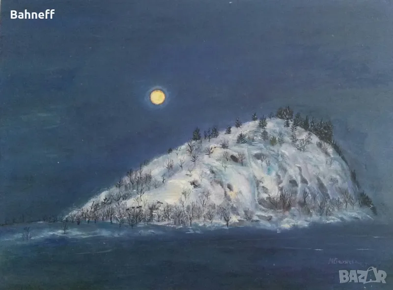 Самотен остров , снимка 1