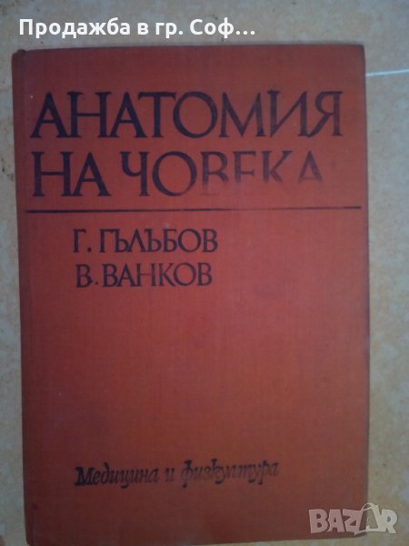Анатомия на човека , снимка 1
