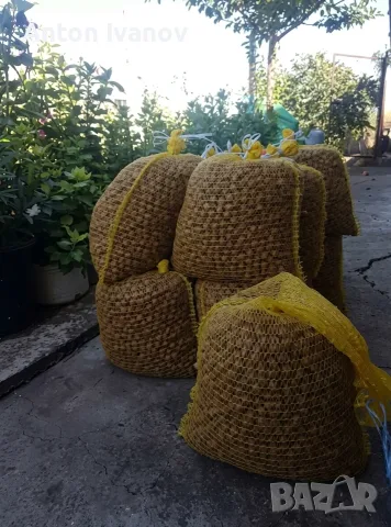 Продавам Лешници - сурови и с черупка