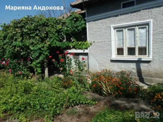 Продава - къща с имот, снимка 6 - Вили - 55752902