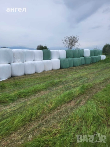 Сенаж от люцерна , снимка 3 - За селскостопански - 54268927