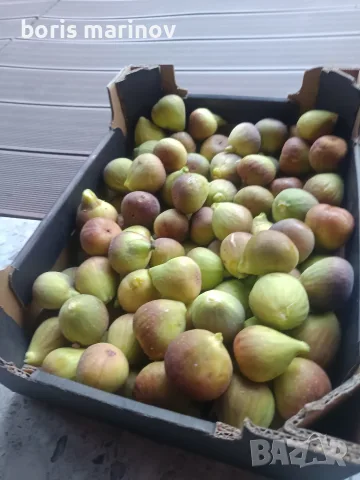 Продавам смокини 