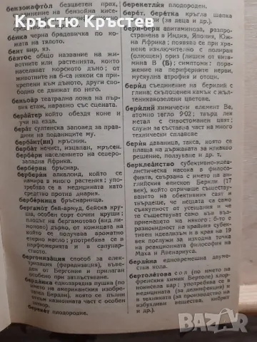 Енциклопедия на чужди думи, снимка 3 - Енциклопедии, справочници - 48002032