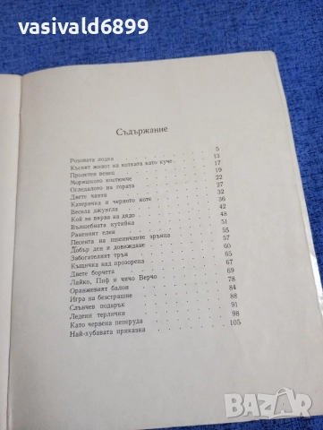 Радка Александрова - Къщичка над прозореца , снимка 5 - Детски книжки - 52952394