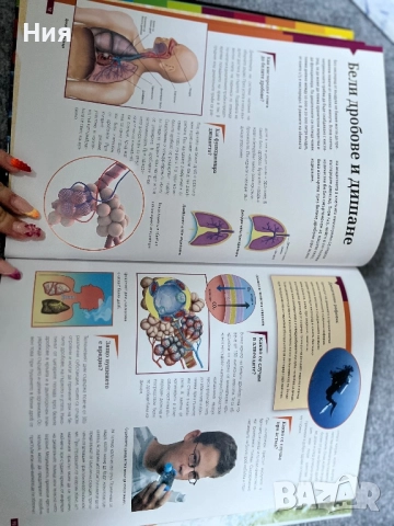 Човекът- книга за човешкото тяло, снимка 4 - Енциклопедии, справочници - 51647953