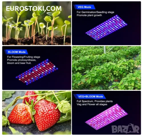 Висяща LED лампа за отглеждане на растения DragonLight BW1000, 45W, пълен спектър, снимка 3 - Други - 56145346
