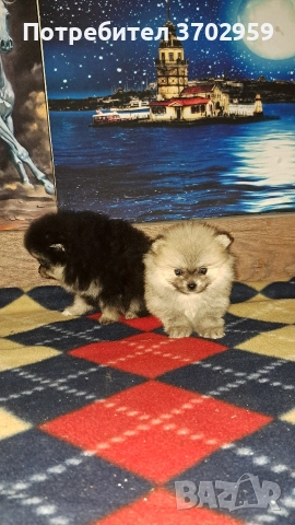 Момче и момиче