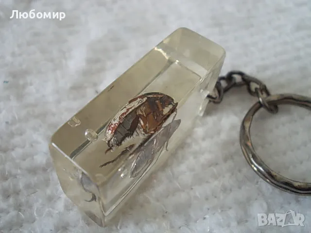 Стари ключодържатели Насекоми, снимка 10 - Антикварни и старинни предмети - 49544764