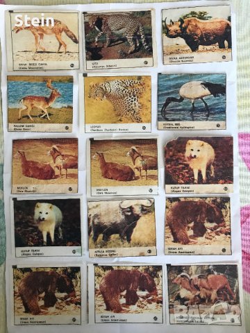 Картинки от дъки, снимка 4 - Колекции - 36208376