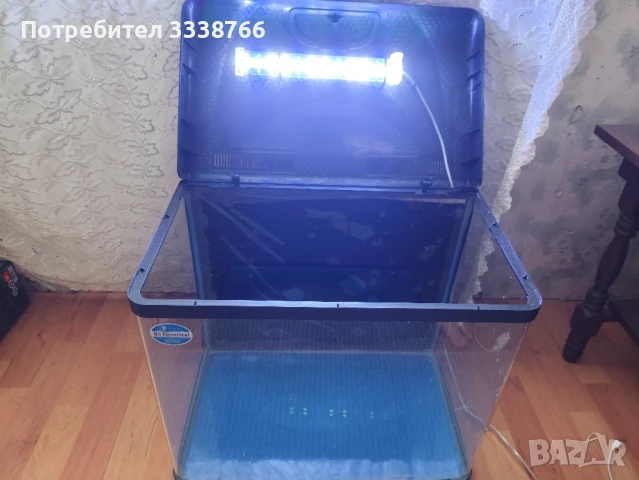 Аквариум , снимка 4 - Аквариуми - 51146070