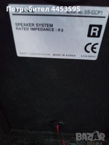 SONY SS-CCP1, снимка 4 - Тонколони - 51850441