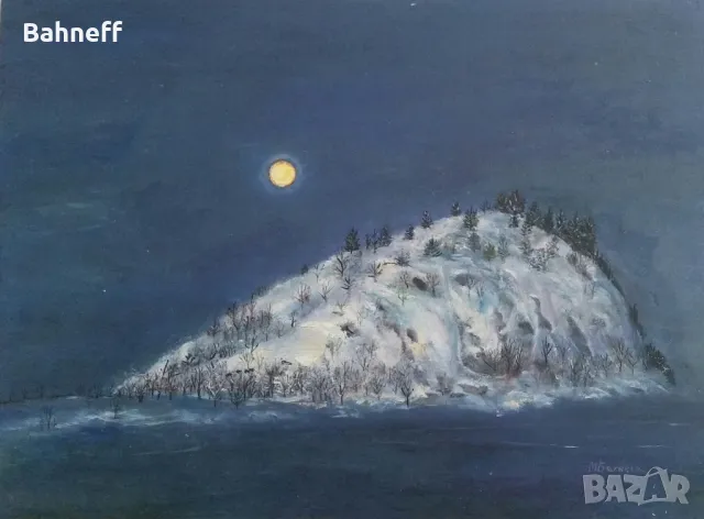 Самотен остров , снимка 1