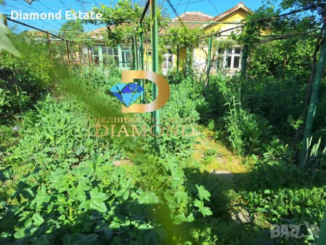 Едноетажна къща в село Иваново, общ. Харманли, снимка 4 - Къщи - 50694417