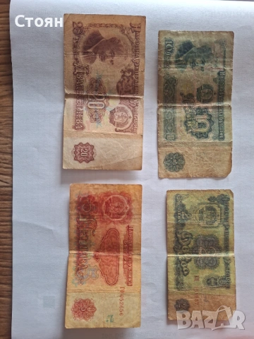 Стари пари левове