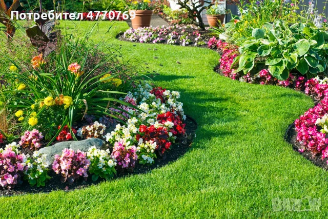 Градинарски услуги, озеленяване, подрязване на жив плет и почистване, снимка 2 - Други услуги - 53899227