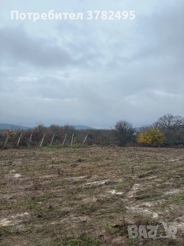 Продавам Парцели УПИ