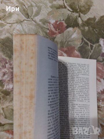 Терез Ракен, снимка 3 - Художествена литература - 35382172