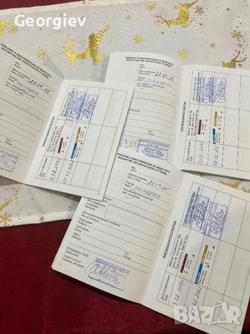 Померанчета 2 момче и 1 момиче, снимка 7 - Померан - 52976758