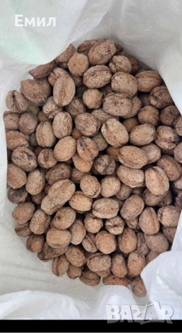 Орехи със черупка