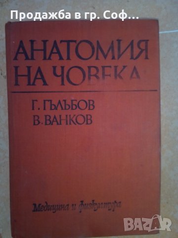 Анатомия на човека , снимка 1