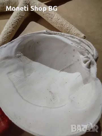 Океански дарове., снимка 5 - Декорация за дома - 48922448