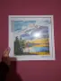 Диамантен гоблен 30×30, снимка 3