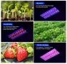 Висяща LED лампа за отглеждане на растения DragonLight BW1000, 45W, пълен спектър, снимка 3
