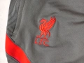 Мъжко футболно долнище NIKE FC LIVERPOOL, размер L , снимка 3