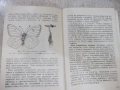 Книга "Малка овощна градина-Т.Ангелов/С.Иванов" - 184 стр.-1, снимка 7
