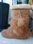КАТО НОВИ апрески Dockers® Snow Boots original, N- 35 - 36 топли боти, ботуши, 100% естествена кожа,, снимка 1 - Дамски апрески - 39640773