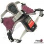 Нагръдник за Куче - S, M, L, XL, XXL - 5 размера - Сив/Цикламен - Go Get Soft Robust Harness, снимка 2