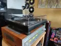 Techincs SL-1210mk2, снимка 11