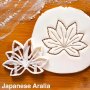Японско листо Аралия пластмасов резец форма за тесто сладки фондан декор бисквитки