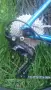 Cannondale CAADX Shimano 105 Disc / Gravel-51cm, снимка 9