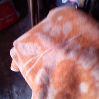 Одеяло, снимка 5 - Спално бельо и завивки - 33891883