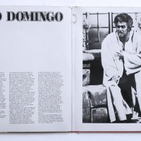 Placido Domingo – Das Große Placido Domingo Album - 2 плочи Classical, Opera - опера Пласидо Доминго, снимка 2 - Грамофонни плочи - 36502395