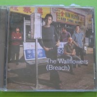The Wallflowers (Breach) CD Jakob Dylan син на Bob Dylan, снимка 1 - CD дискове - 31745463