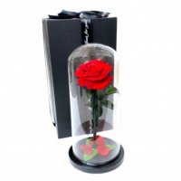 Луксозна вечна роза в стъкленица BEAUTY&THE BEAST RED, 27см, Червен, снимка 2 - Романтични подаръци - 31124934