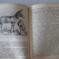 Книга "Изчезнали и изчезващи животни - Н.Николов" - 292 стр., снимка 5 - Специализирана литература - 36561035