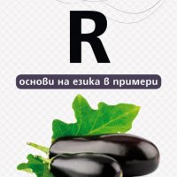 R - основи на езика в примери, снимка 1 - Специализирана литература - 29566646