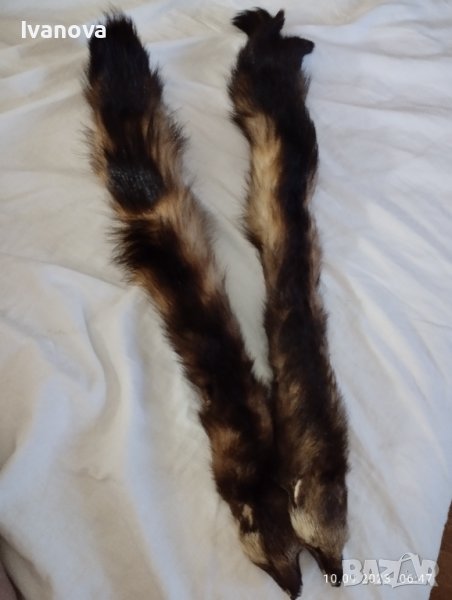 Продавам две кожи от норка за гарнитура, снимка 1