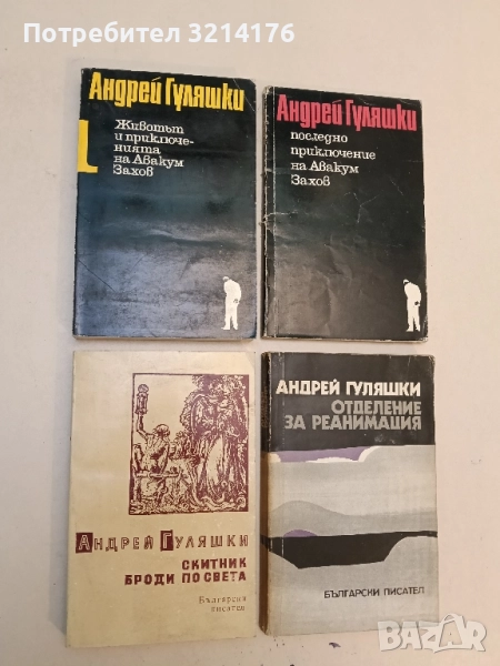 Скитник броди по света - Андрей Гуляшки, снимка 1