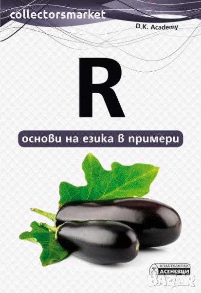 R - основи на езика в примери, снимка 1