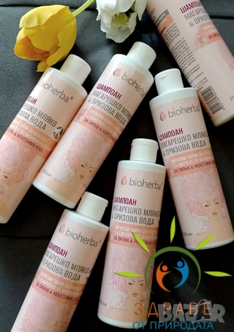 Билкови шампоани - Промоция за 3бр. , снимка 3 - Продукти за коса - 43744547