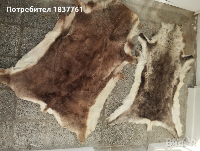 Естествени кожи големи , снимка 5 - Декорация за дома - 52177515