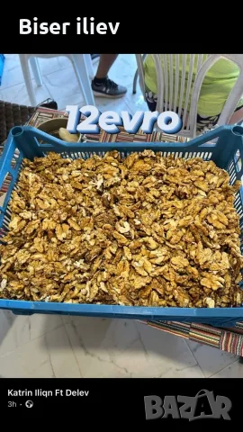 продавам орехи на черупка на ядка и на зелено 