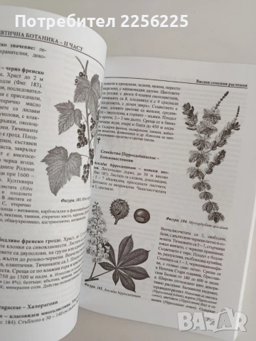 Фармацевтична ботаника ( част 2 ), снимка 2 - Специализирана литература - 55705289