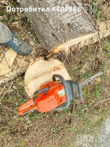 поваляне, рязане и цепене на дърва, чистене на дворове, снимка 2 - Други почистващи услуги - 49645298