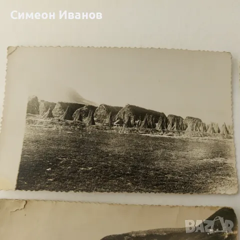 Стари снимки отглеждане на коноп гръсници гръсти   В0149  , снимка 4 - Други ценни предмети - 48694603